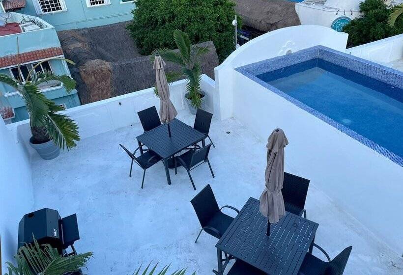 ホテル Mayab Playa   5th. Ave