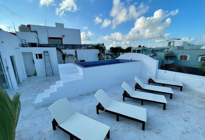 ホテル Mayab Playa   5th. Ave