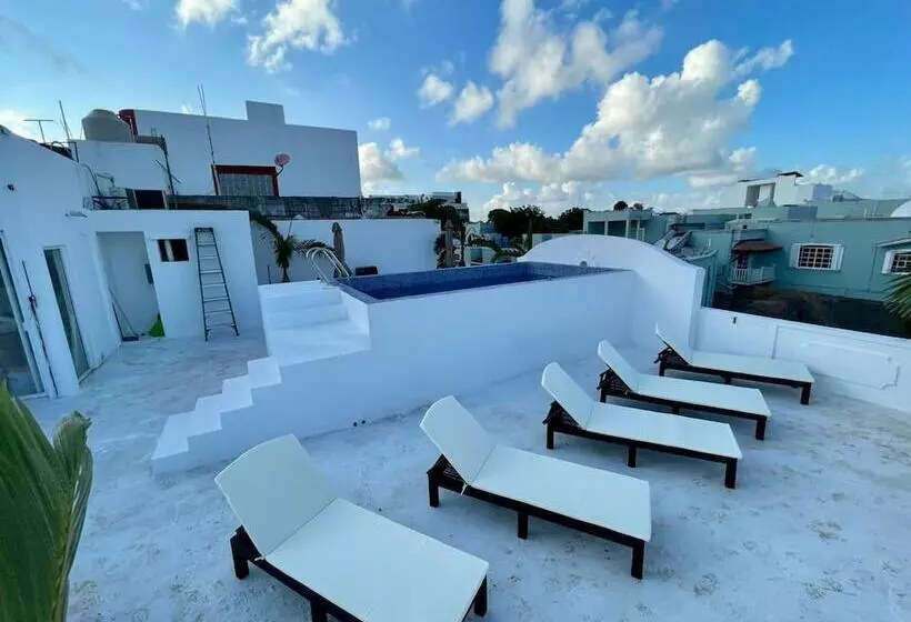 هتل Mayab Playa   5th. Ave