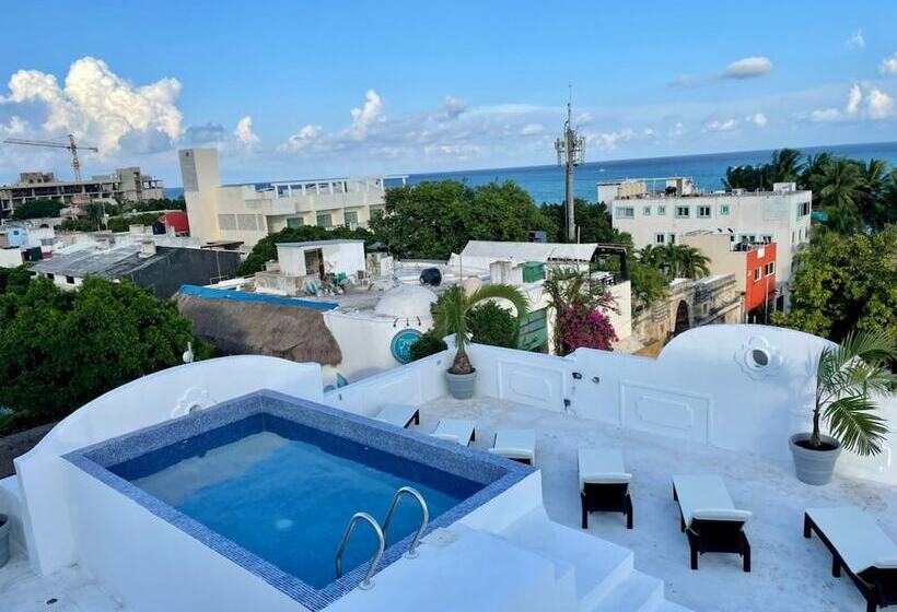 ホテル Mayab Playa   5th. Ave