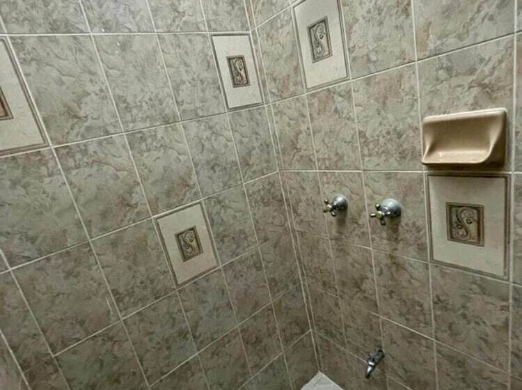 ホテル Mayab Playa   5th. Ave