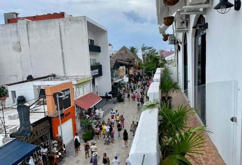 ホテル Mayab Playa   5th. Ave