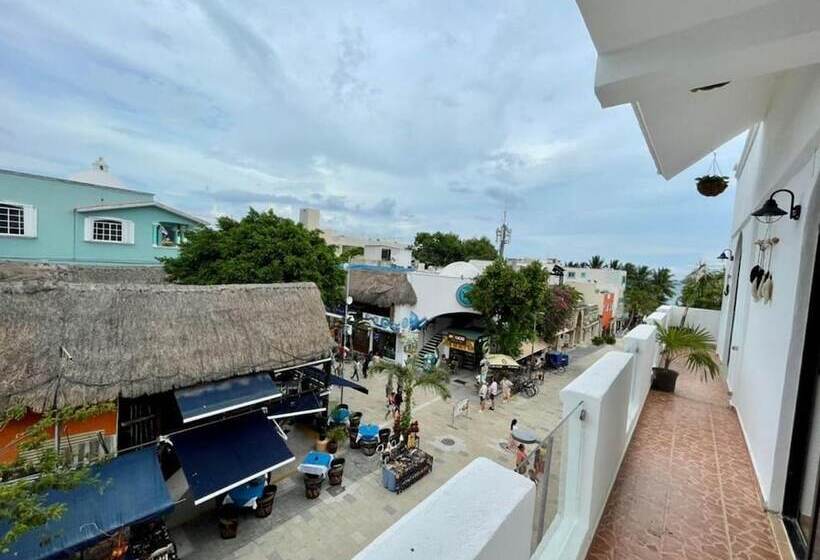 ホテル Mayab Playa   5th. Ave