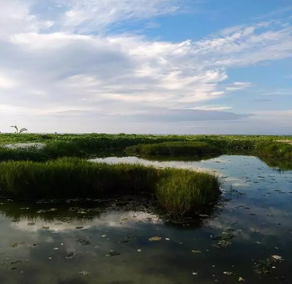پانسیون Akiri Surf Retreat