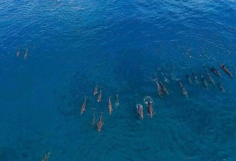 پانسیون Akiri Surf Retreat