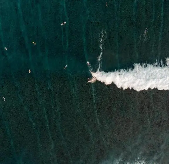 پانسیون Akiri Surf Retreat