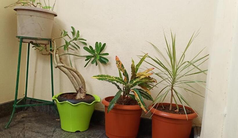 펜션 Gopi Homestay