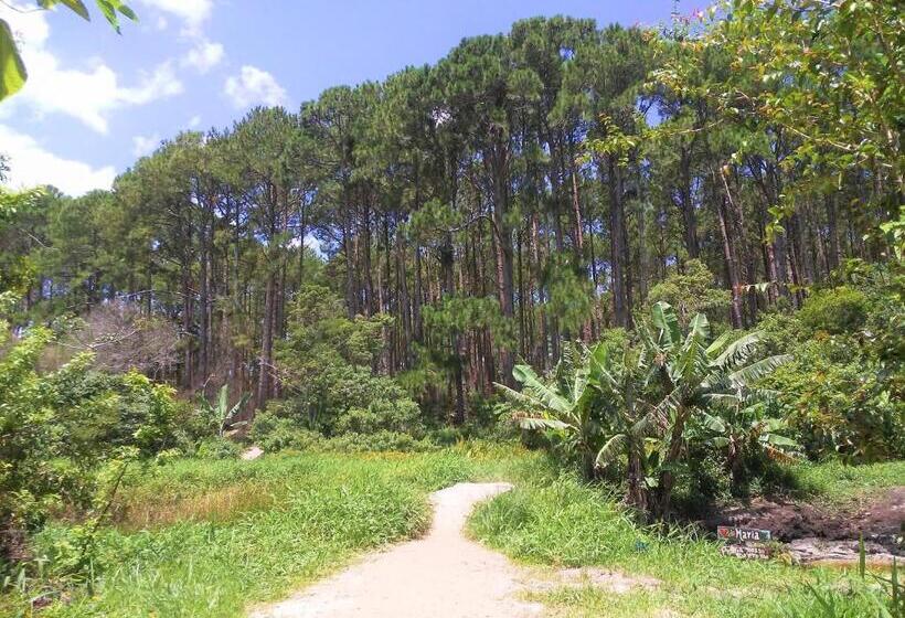 Pensjonat Moçamba Lodge Contêiner