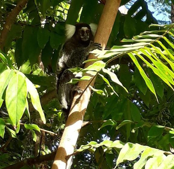 膳宿费 Sitio Santo Antonio