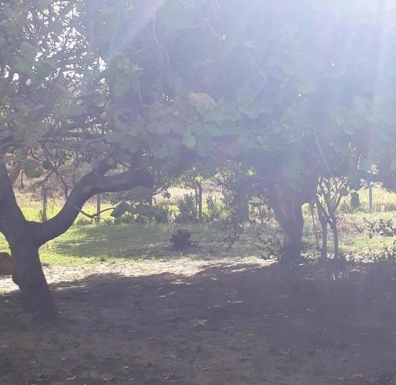 膳宿费 Sitio Santo Antonio