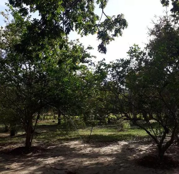 Majatalo Sitio Santo Antonio