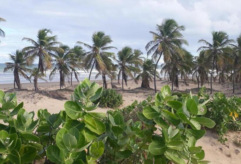 膳宿费 Sitio Santo Antonio