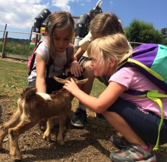 استراحتگاه Chalet Ma Neou Centre De Vacances