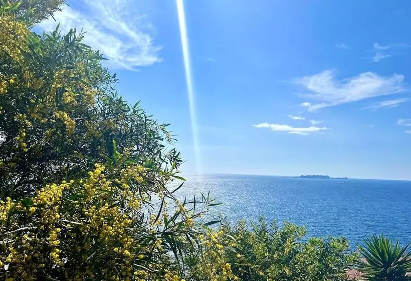 Salina Pansiyon