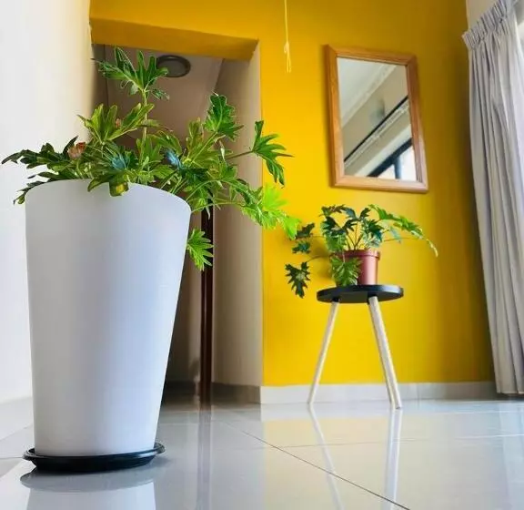 Styled Bed And Breakfast