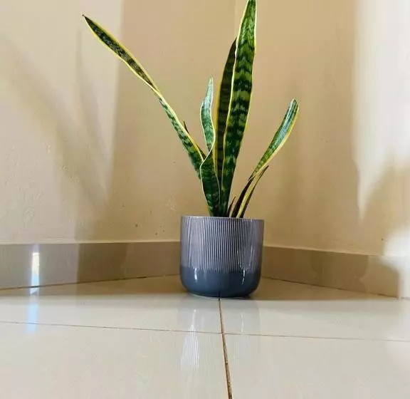 Styled Bed And Breakfast