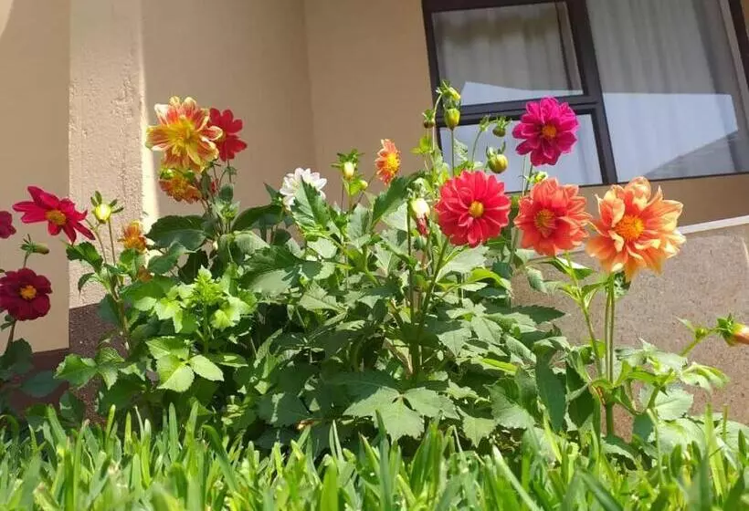 Styled Bed And Breakfast