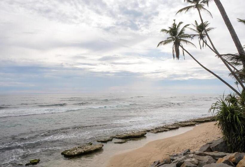 مبيت وإفطار Cosynsurf