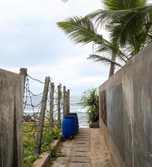 مبيت وإفطار Cosynsurf