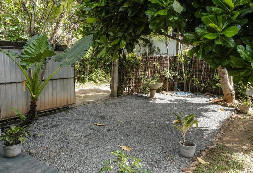 مبيت وإفطار Cosynsurf