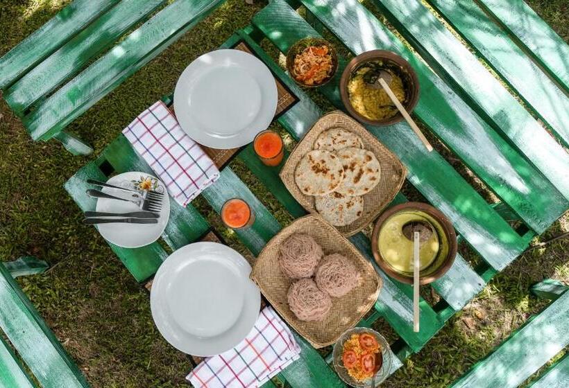 مبيت وإفطار Cosynsurf