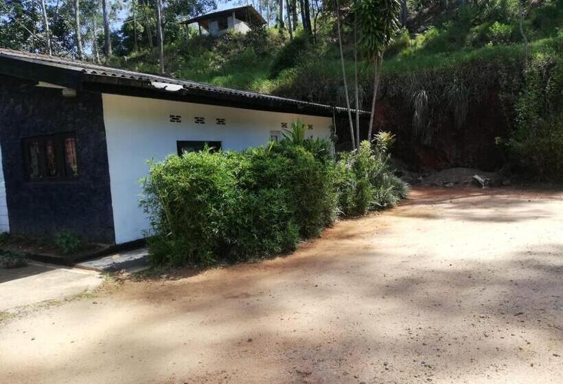 ベッドアンドブレックファースト Hertz Bungalow Resort And Restaurant