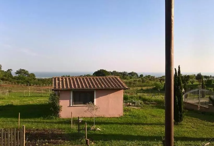تختخواب و صبحانه Mario S Home