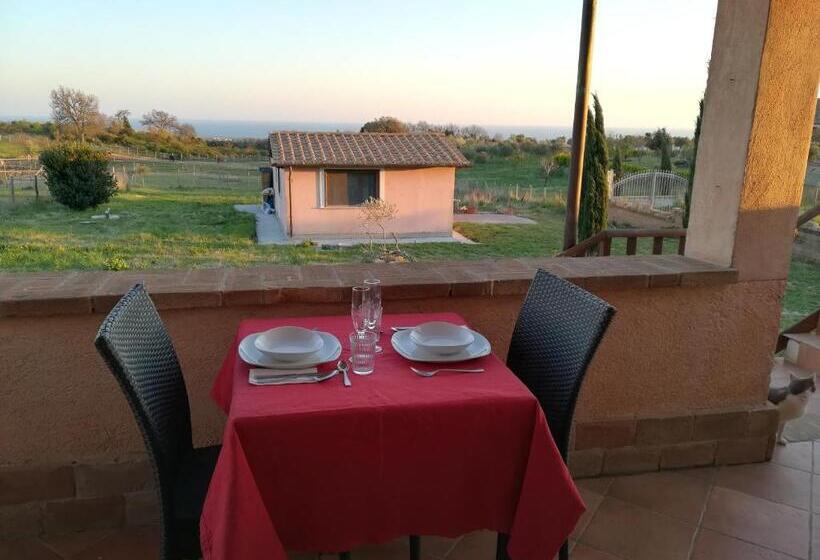 Bed and Breakfast Mario S Home