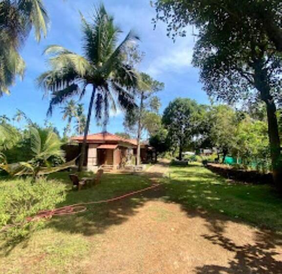 Hôtel Alive Beach Resort,maral