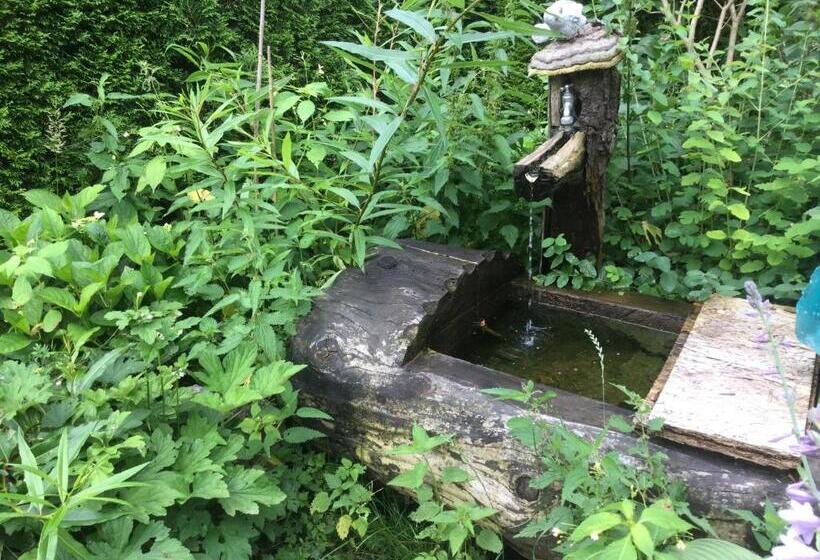 Отель Branderhof