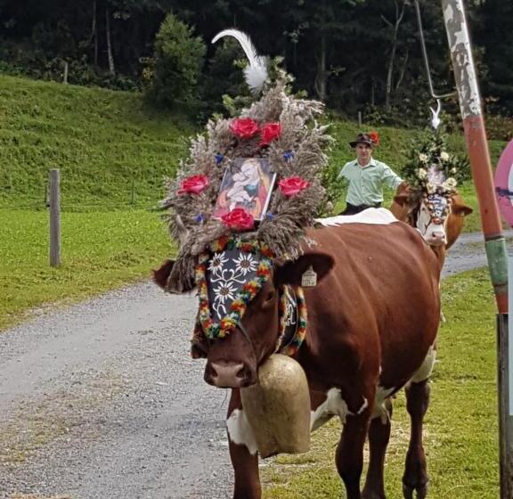 Отель Branderhof