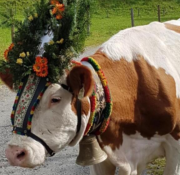 Отель Branderhof