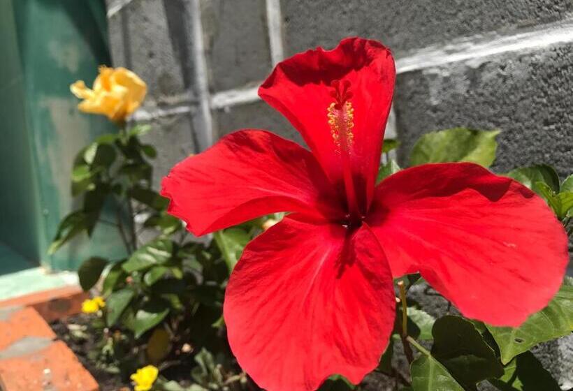 پانسیون Anh Linh Guest House