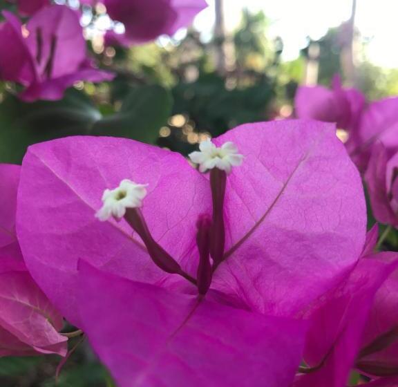 پانسیون Anh Linh Guest House