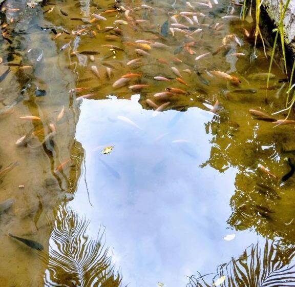 پانسیون Anh Linh Guest House