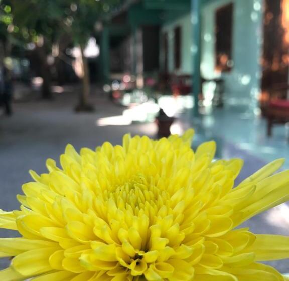 پانسیون Anh Linh Guest House