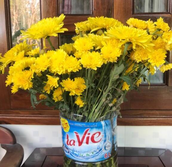 پانسیون Anh Linh Guest House