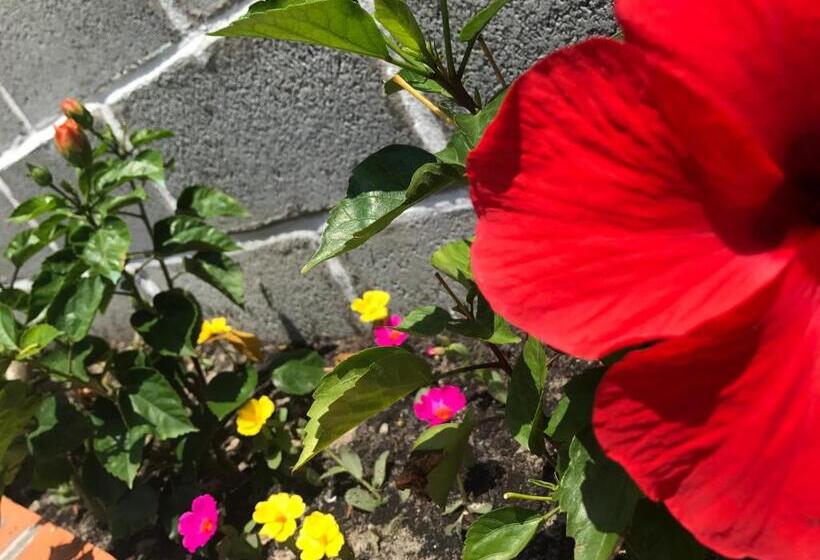 پانسیون Anh Linh Guest House