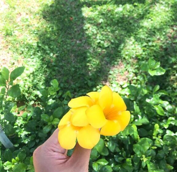 پانسیون Anh Linh Guest House