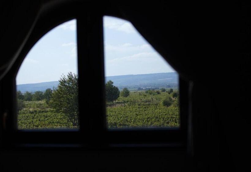 Пансион Cerdac Cotesti