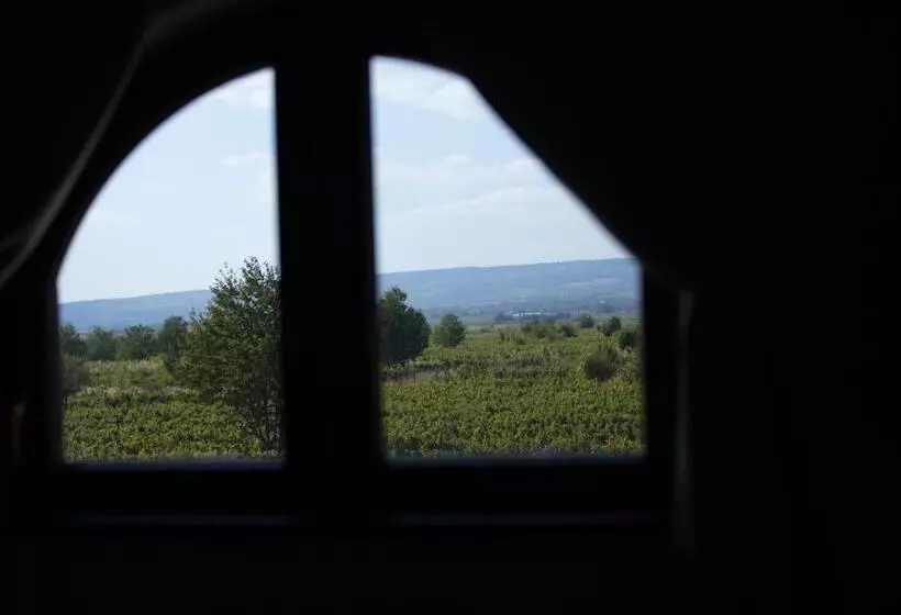 ペンション Cerdac Cotesti