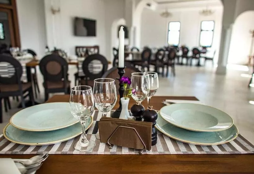 ペンション Cerdac Cotesti