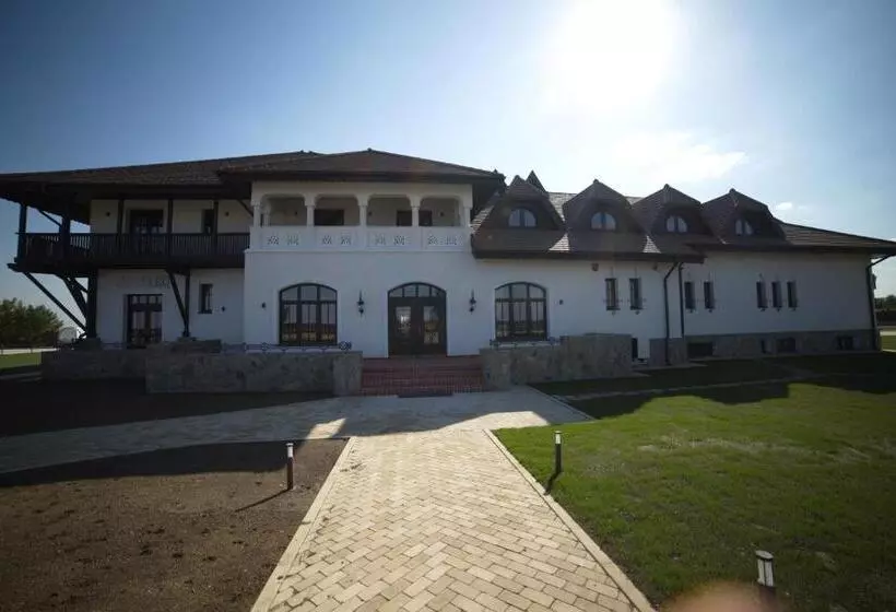 ペンション Cerdac Cotesti