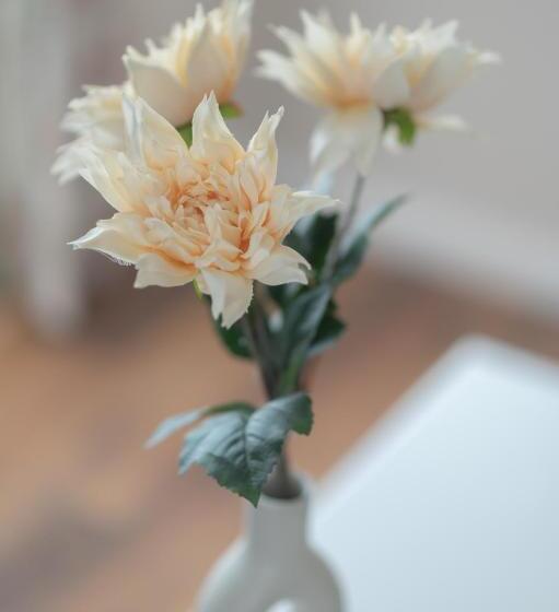 펜션 Charlottenburg   Das Haus