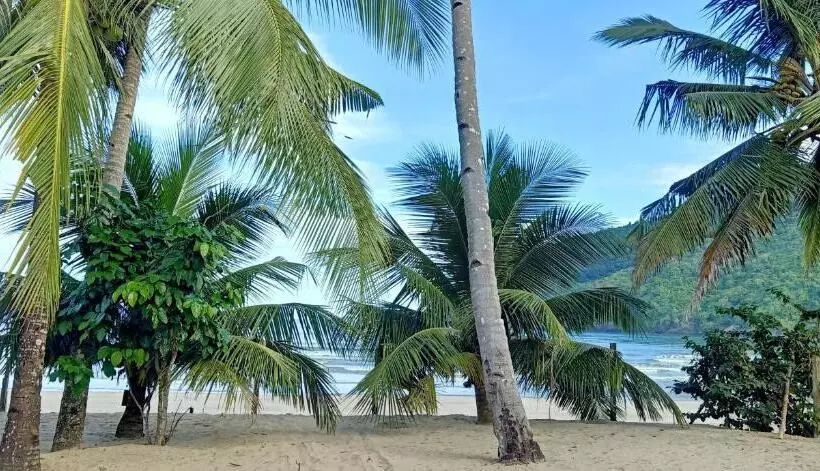 ペンション Cocohut Beach House
