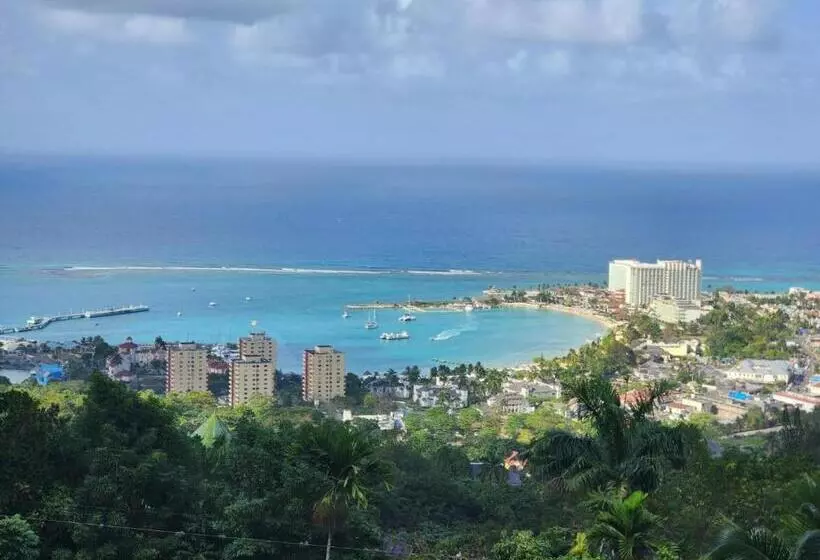 پانسیون Coriander Villa