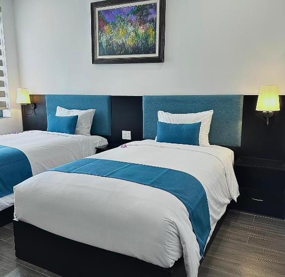 Vian Hotel And Spa Danang