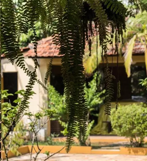 ベッドアンドブレックファースト Villa Bem Querer   Suíte