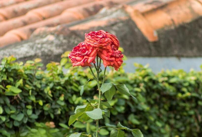 צימר Villa Bem Querer   Suíte