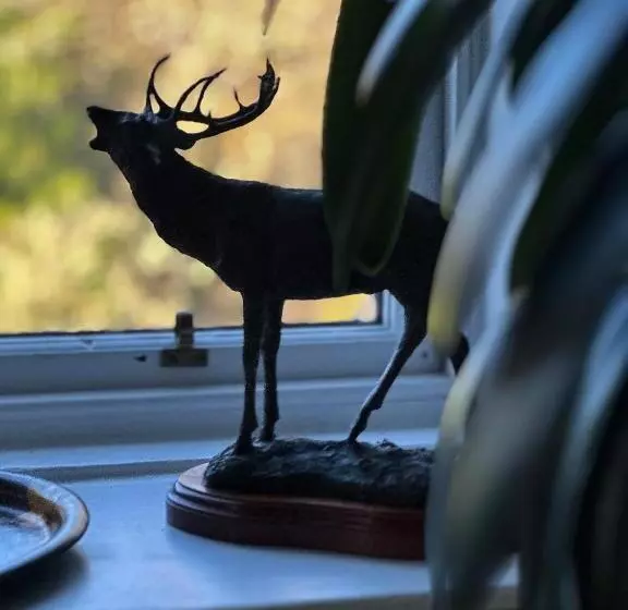 ベッドアンドブレックファースト Well Red Room,spean Lodge
